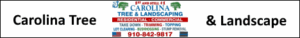 Carolina Tree and Landscaping Service Supply, NC, Shallotte, Tree Removal Calabash, For all your tree trimming, removal, stump removal, Carolina Tree and Landscape!